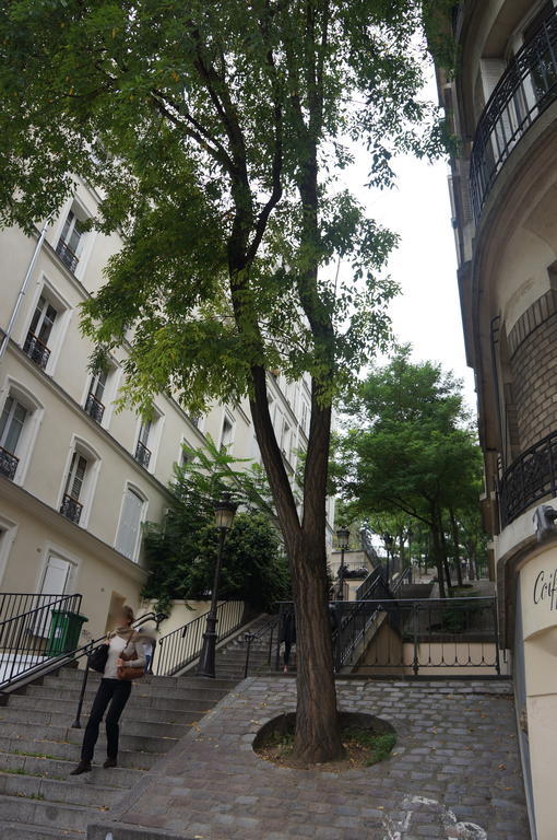 Studios De Charme A Montmartre Париж Екстериор снимка
